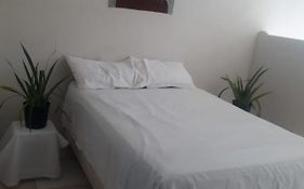 Casa Verde